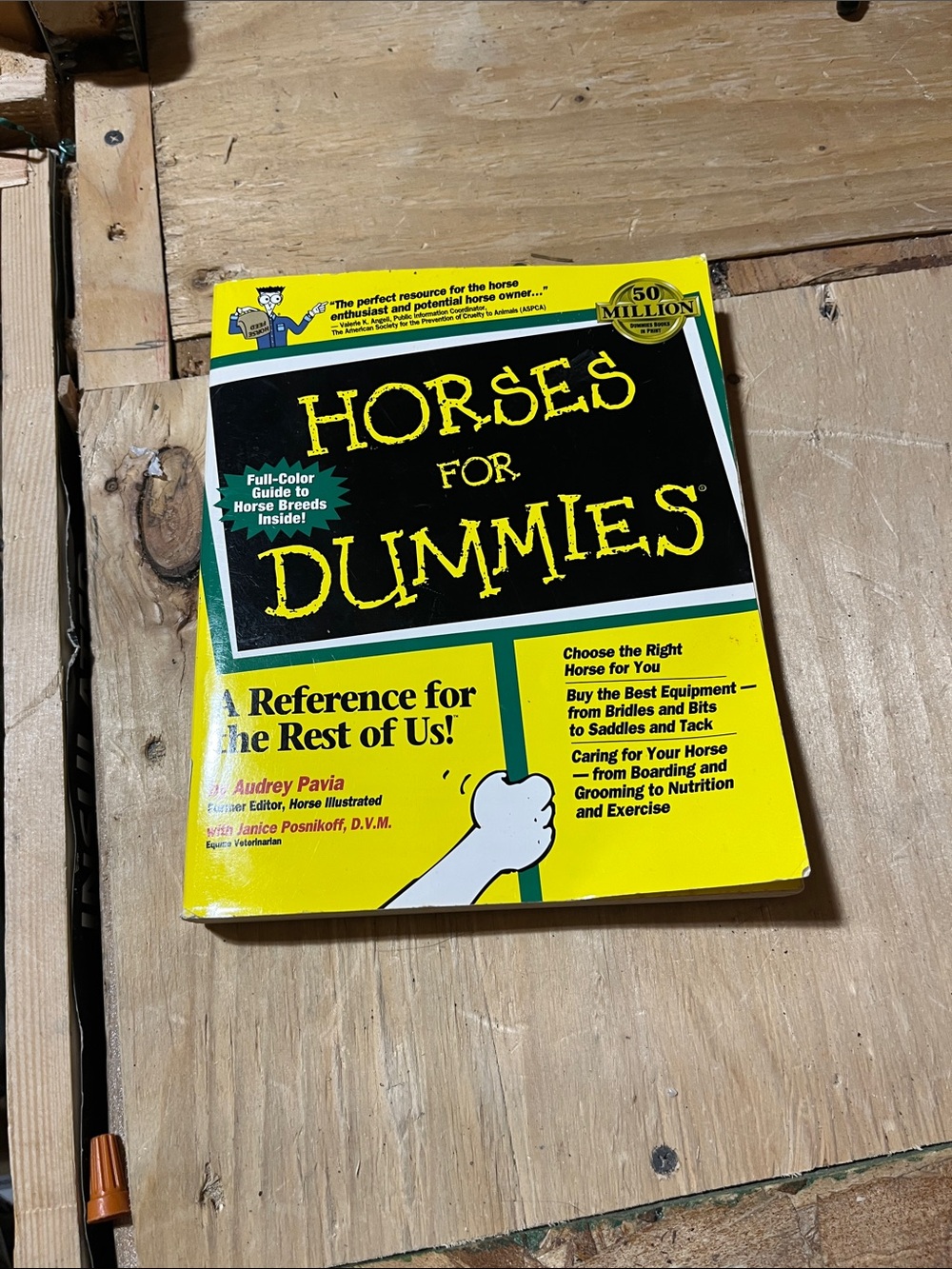 Horses for dummys